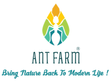 Ant Farm